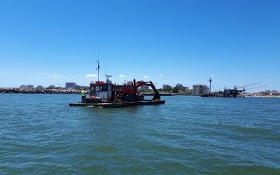 CARATTERIZZAZIONE DEI SEDIMENTI DI DRAGAGGIO DI UN’AREA DI FOCE NEL FERRARESE